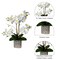 Amelie Real Touch Phalaenopsis Orchid Arrangement Silver Ceramic Vase